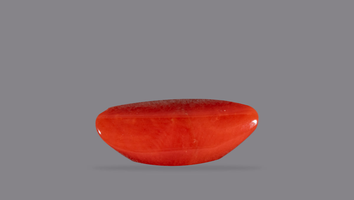 Italian Red Coral 6.95 Carats / 7.64 Ratti