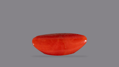 Italian Red Coral 6.95 Carats / 7.64 Ratti