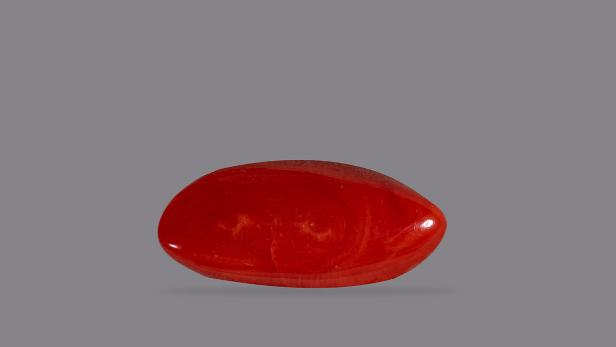 Japanese Red Coral 13.48 Carats / 16.24 Ratti