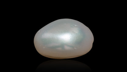 Venezuela Pearl7.55 Carats / 8.3 Ratti