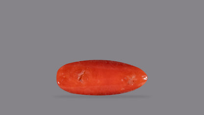 Italian Red Coral 6.29 Carats / 6.91 Ratti