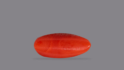 Italian Red Coral 6.42 Carats / 7.05 Ratti