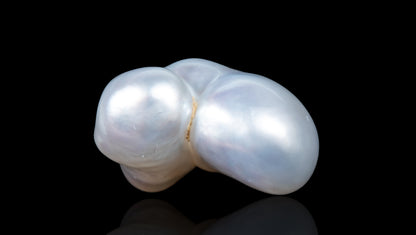 Venezuela Pearl 11.38 Carats / 12.51 Ratti