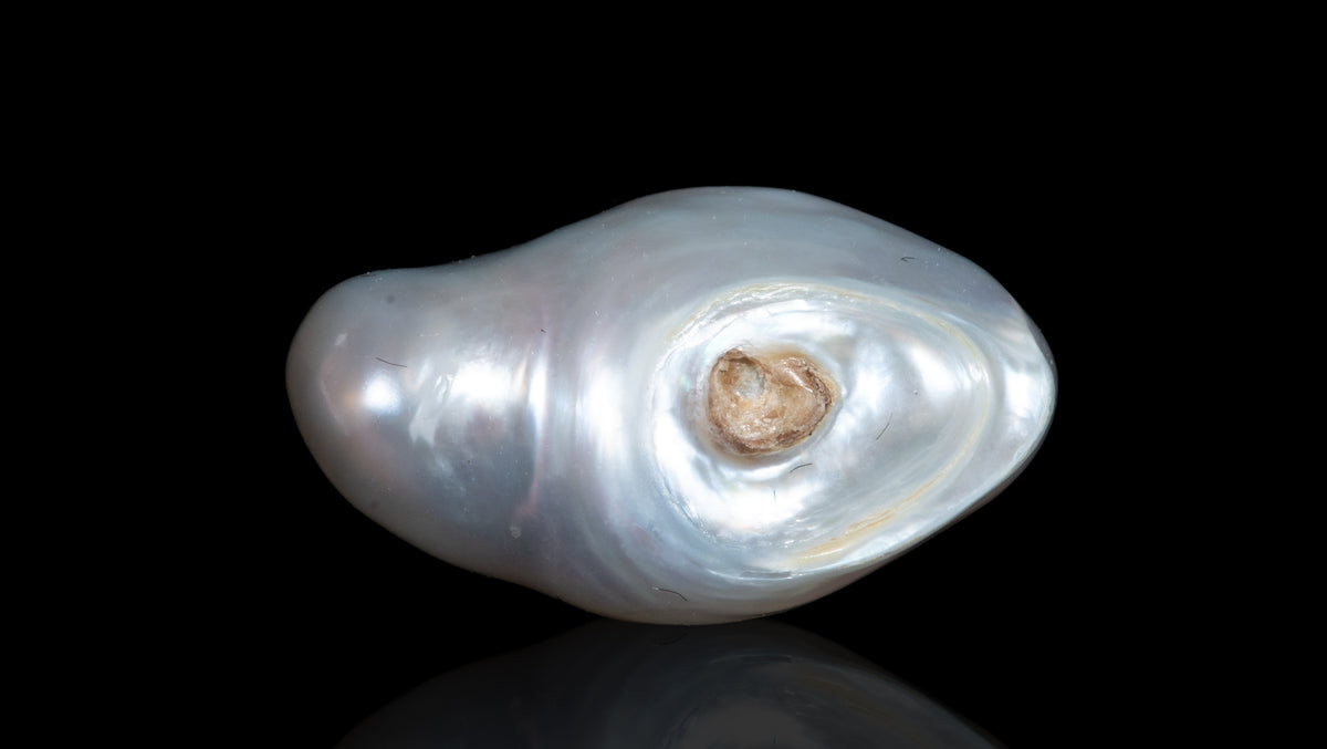 Venezuela Pearl 6.58 Carats / 7.23 Ratti