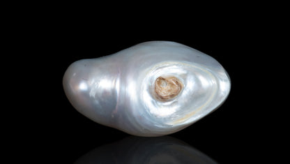 Venezuela Pearl 6.58 Carats / 7.23 Ratti