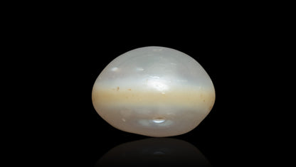 Venezuela Pearl10.43 Carats / 11.46 Ratti