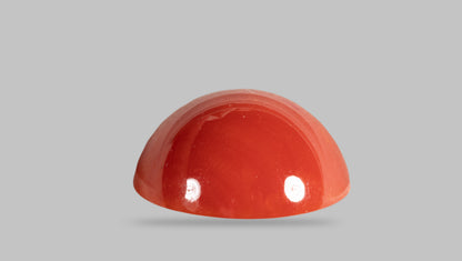 Japanese Red Coral 10.04 Carats / 11.03 Ratti
