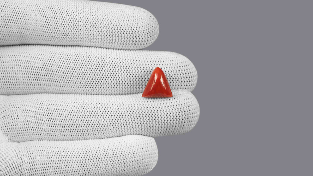 Italian Red Coral 5.83 Carats / 6.41 Ratti