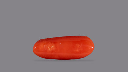Italian Red Coral 6.22 Carats / 6.84 Ratti