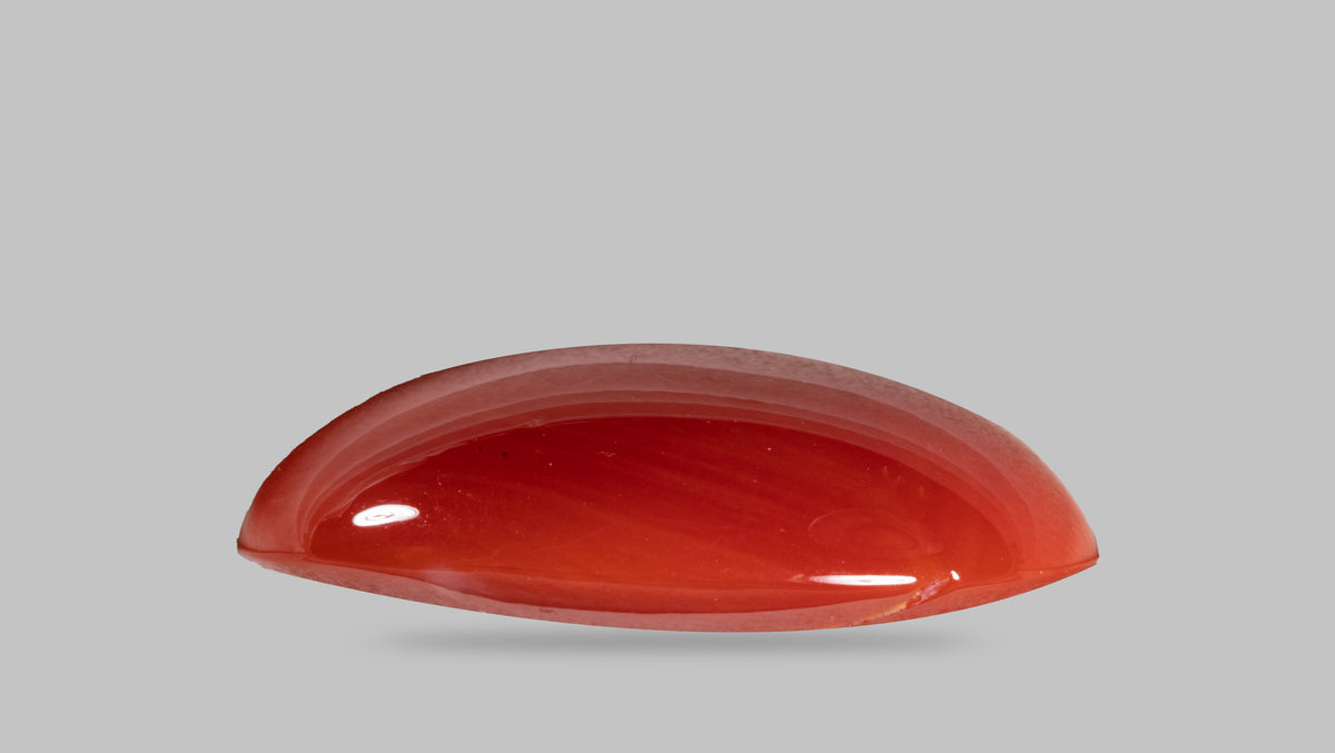 Japanese Red Coral 16.24 Carats / 17.85 Ratti