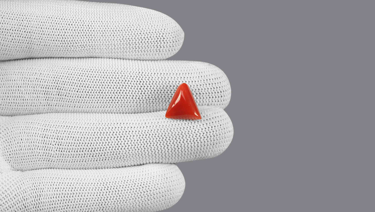Italian Red Coral 6.31 Carats / 6.93 Ratti