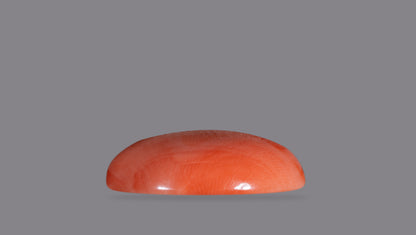 Japanese Red Coral 14.79 Carats / 16.25 Ratti
