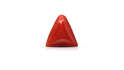 Italian Red Coral 6.26 Carats / 6.88 Ratti