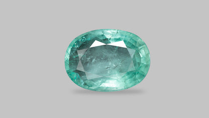 Columbian Emerald (Panna) 8.76 Carats / 9.63 Ratti