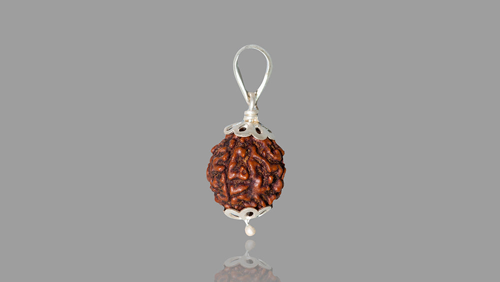 4 MUKHI RUDRAKSHA (20.01mm)