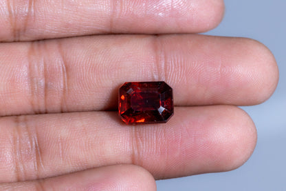 Sri-Lankan Hessonite (Gomed) 10.06 Carats / 11.05 Ratti
