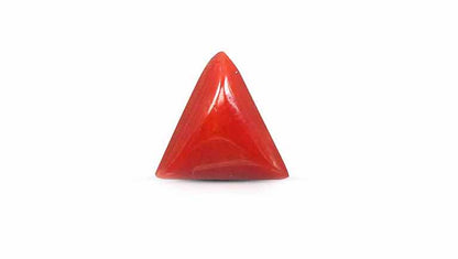 Italian Red Coral 5.62 Carats / 6.18 Ratti