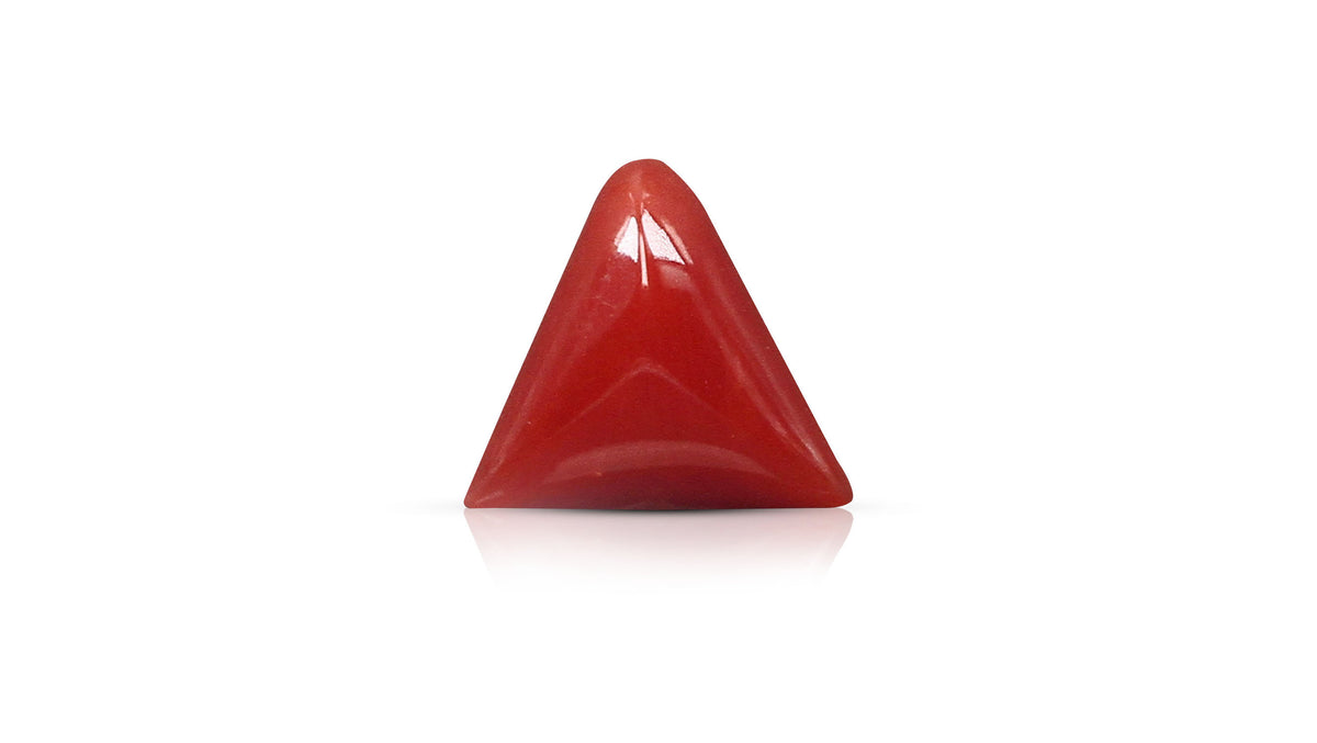 Italian Red Coral 5.65 Carats / 6.21 Ratti