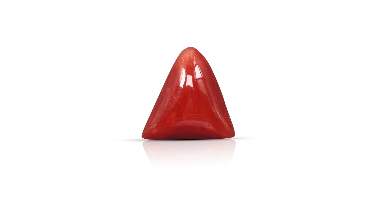 Italian Red Coral 5.83 Carats / 6.41 Ratti