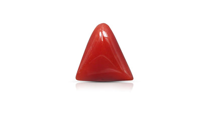 Italian Red Coral 6.31 Carats / 6.93 Ratti