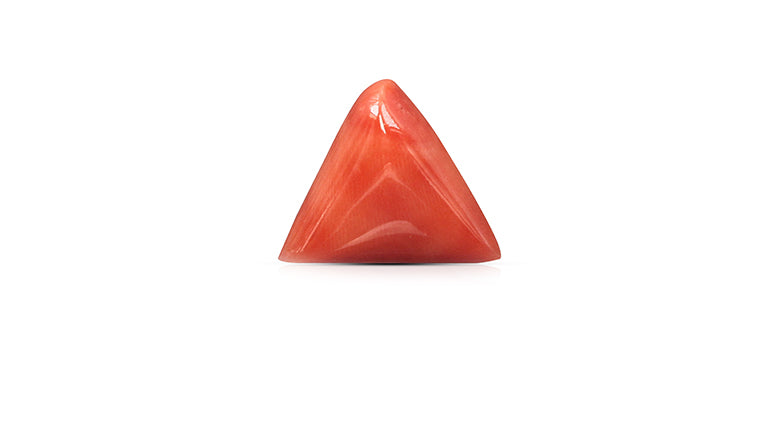 Italian Red Coral 12.08 Carats / 13.27 Ratti