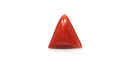 Italian Red Coral 5.72 Carats / 6.29 Ratti