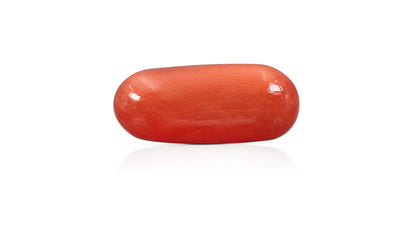 Italian Red Coral 9.72 Carats / 10.68 Ratti