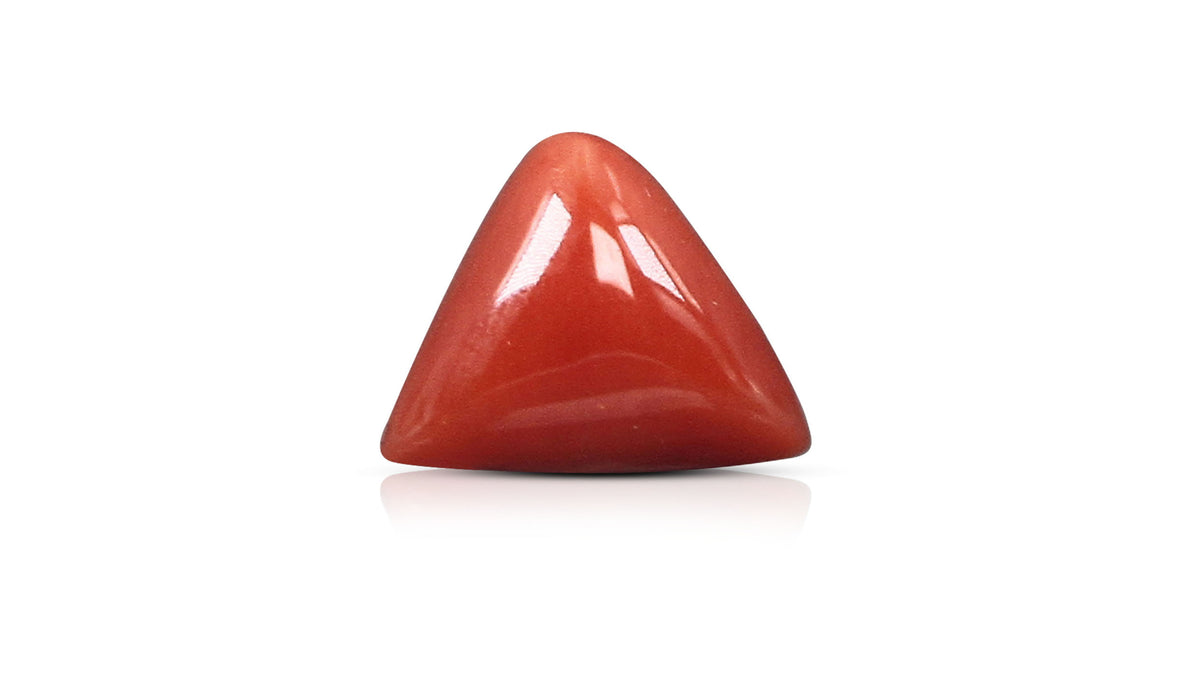 Italian Red Coral 5.92 Carats / 6.51 Ratti