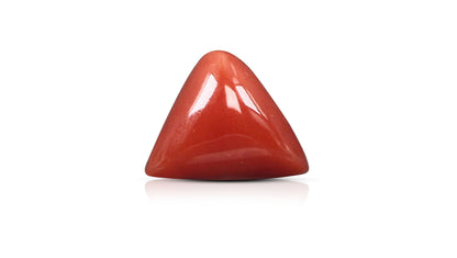Italian Red Coral 5.92 Carats / 6.51 Ratti