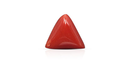 Italian Red Coral 5.74 Carats / 6.31 Ratti