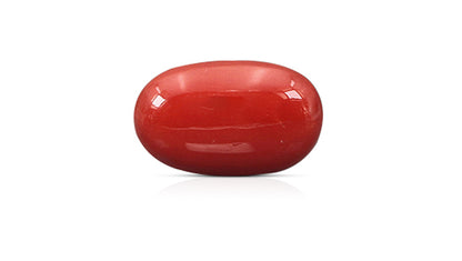 Italian Red Coral 10.46 Carats / 11.49 Ratti