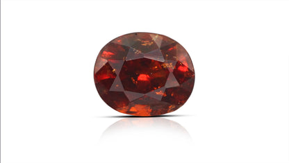 Sri-Lankan Hessonite (Gomed) 7.33 Carats / 8.05 Ratti
