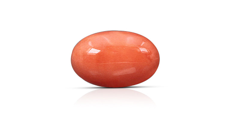 Japanese Red Coral 6.08 Carats / 6.68 Ratti
