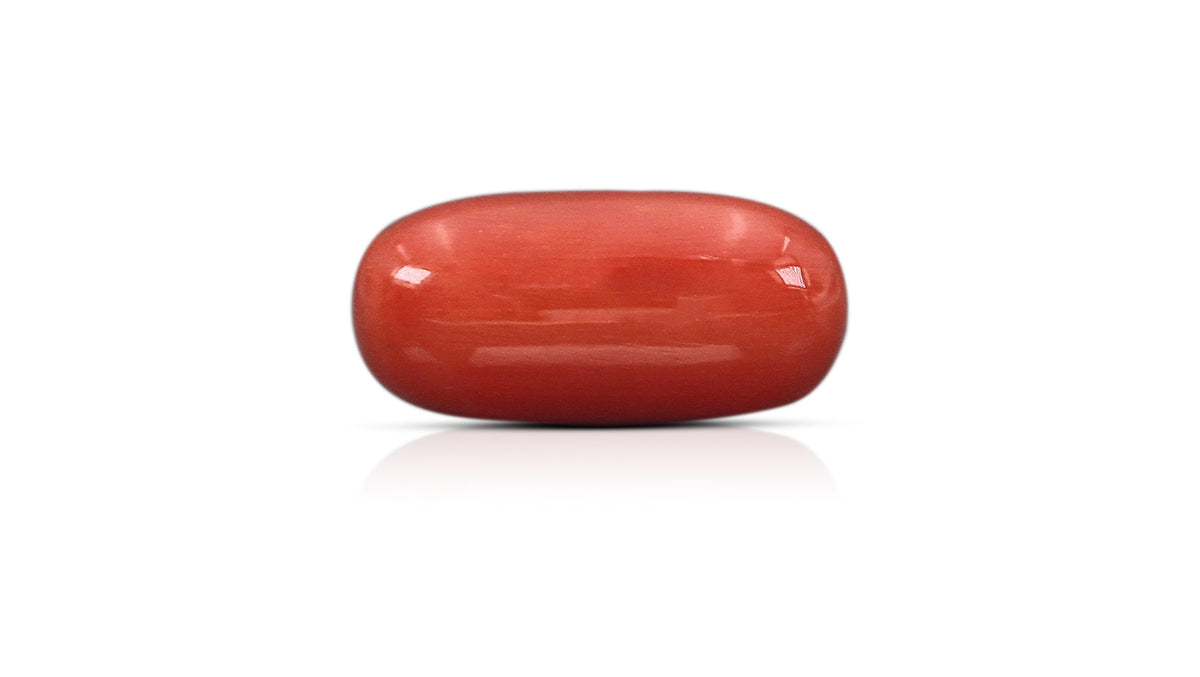 Italian Red Coral 15.82 Carats / 17.38 Ratti