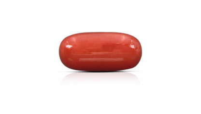 Italian Red Coral 15.82 Carats / 17.38 Ratti