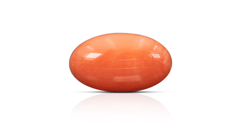 Japanese Red Coral 10.53 Carats / 11.57 Ratti