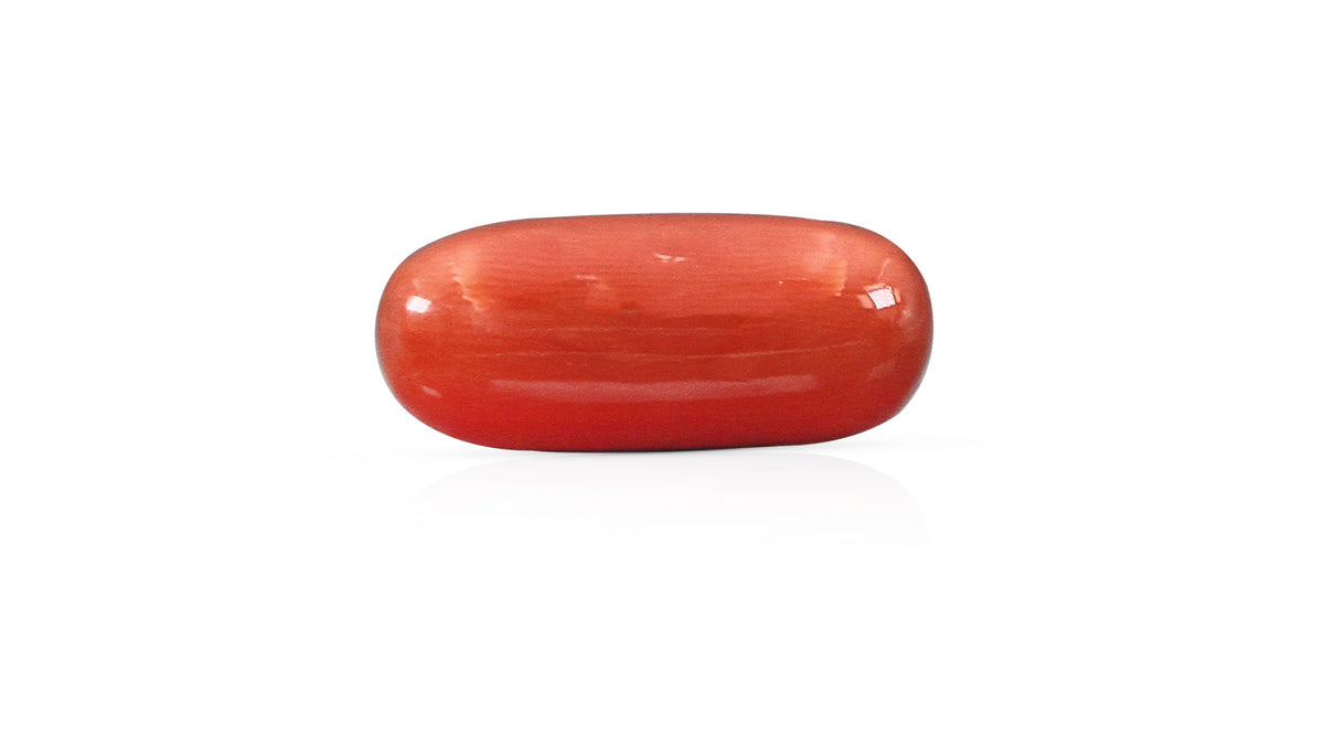 Italian Red Coral 12.02 Carats / 13.21 Ratti