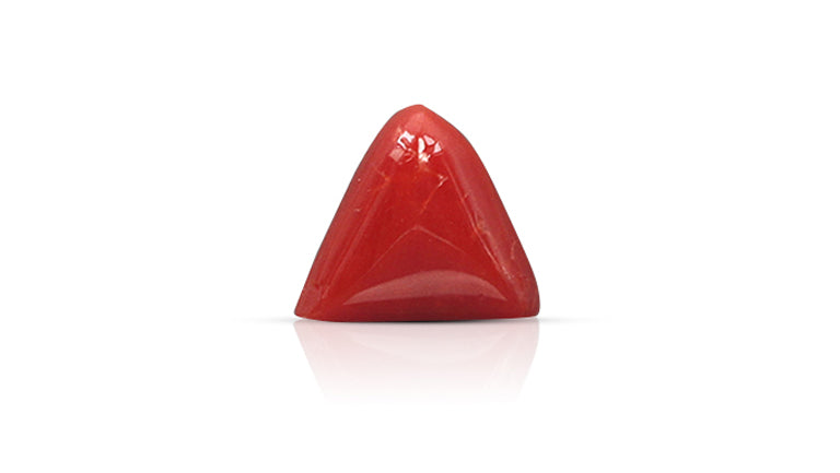 Italian Red Coral 6.07 Carats / 6.67 Ratti
