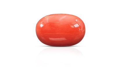 Italian Red Coral 11.64 Carats / 12.79 Ratti