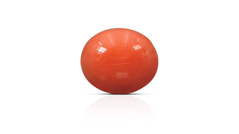 Japanese Red Coral 4.89 Carats / 5.37 Ratti