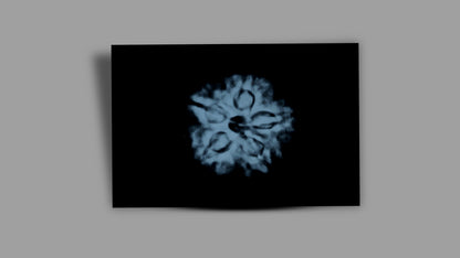 5 MUKHI RUDRAKSHA (22.13 mm)