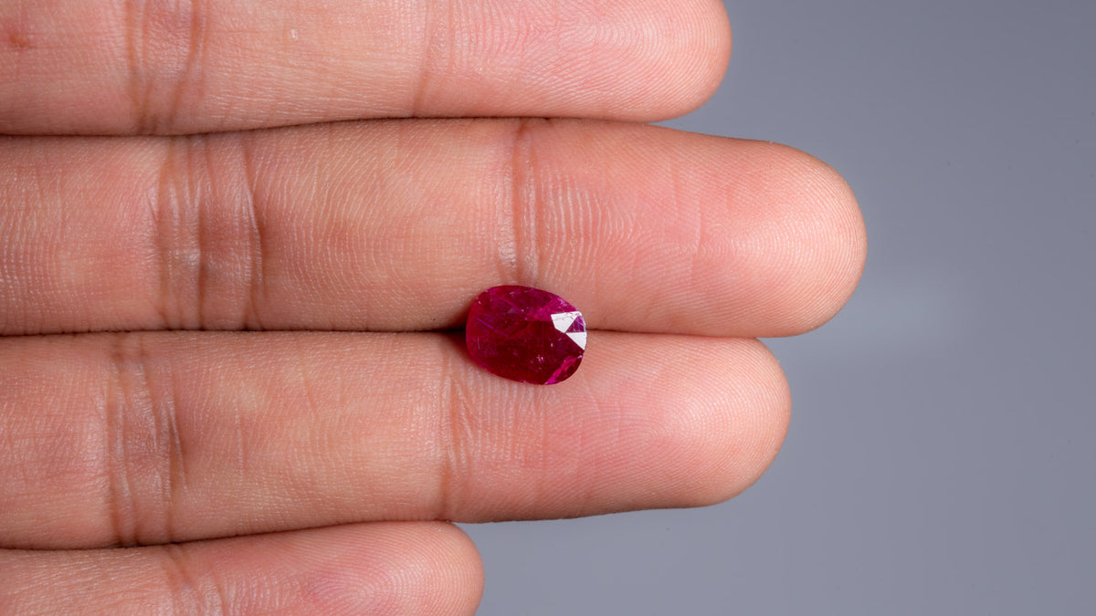Mozambique Ruby (Manik) 2.52 Carats / 2.77 Ratti