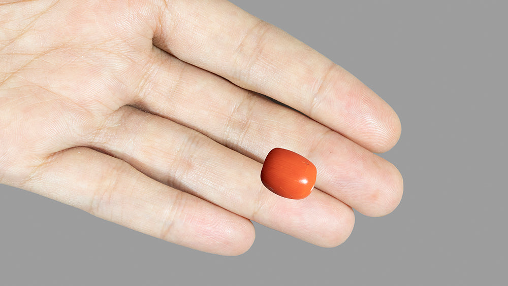 Italian Red Coral 14.29 Carats / 15.7 Ratti