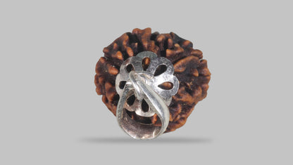 3 MUKHI RUDRAKSHA (22.47 mm) / 20.57 Ratti