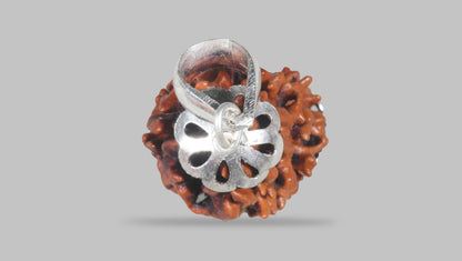 3 MUKHI RUDRAKSHA (19.61 mm) / 15.35 Ratti