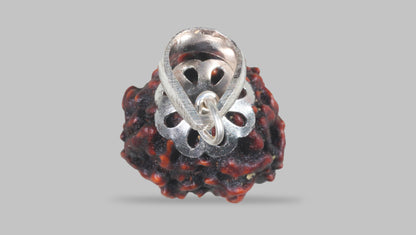 3 MUKHI RUDRAKSHA (21.15 mm) / 18.82 Ratti