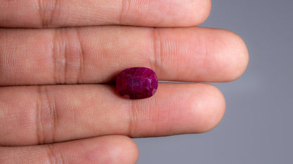 Mozambique Ruby (Manik) 7.93 Carats / 8.71 Ratti