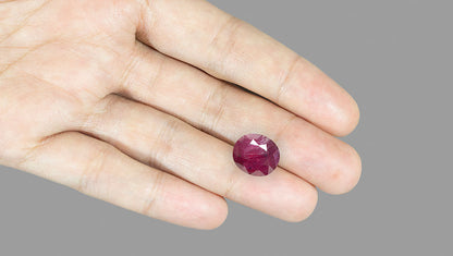 Mozambique Ruby (Manik) 4.65 Carats / 5.11 Ratti