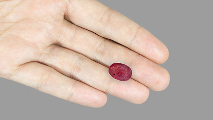 Burmese Ruby (Manik) 5.83 Carats / 6.41 Ratti