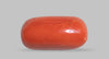Italian Red Coral 7.58 Carats / 8.33 Ratti